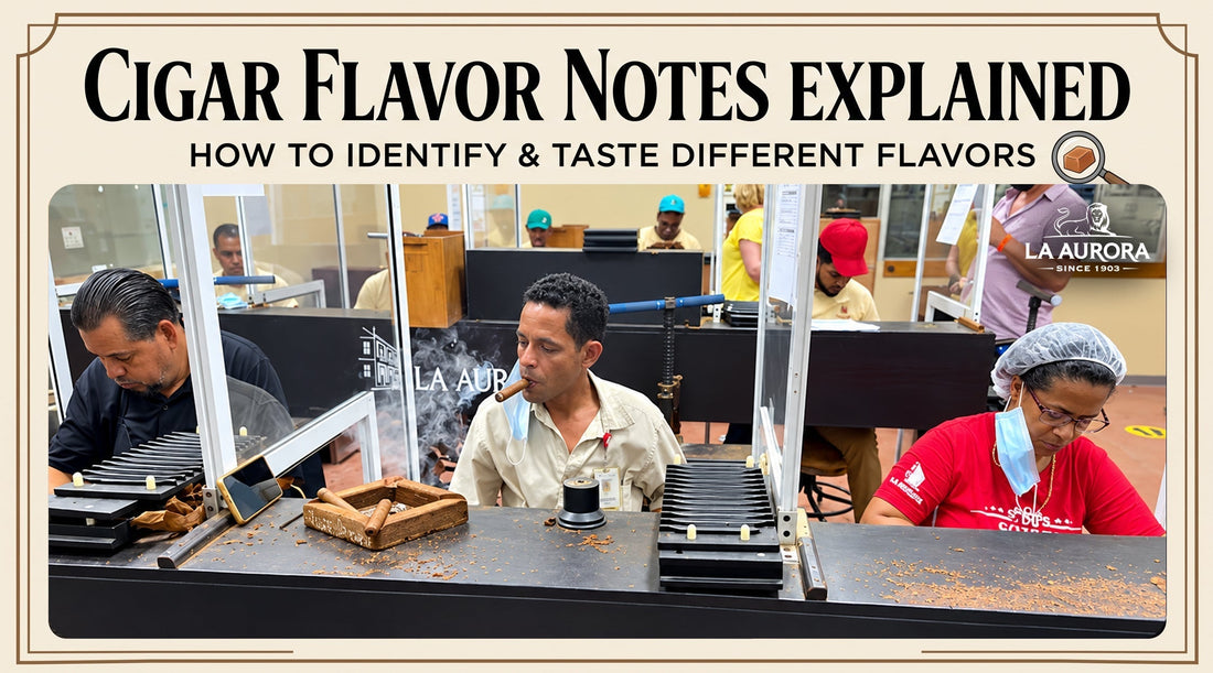 Cigar Flavor Notes