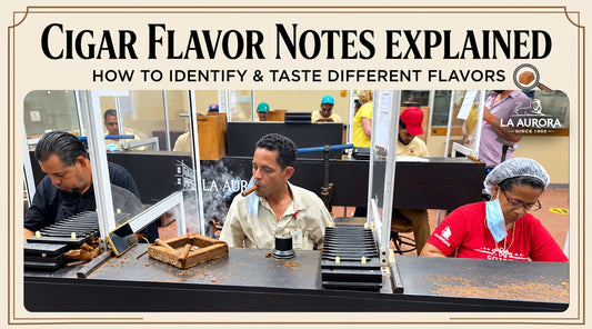 Cigar Flavor Notes