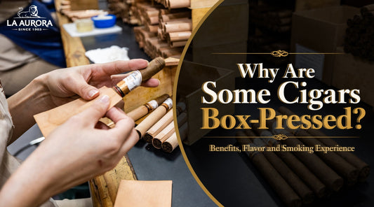 Cigars Box-Pressed