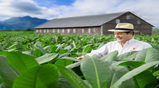 La Aurora Guillermo León By La Aurora®