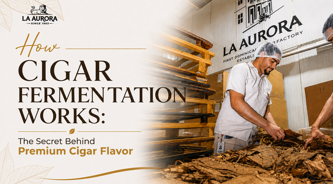how cigar fermentation works