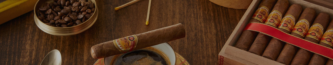 THE BEST CIGARS OF LA AURORA