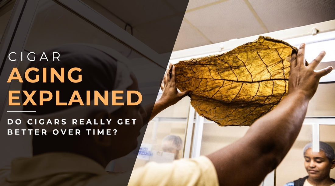 Cigar Aging Explained