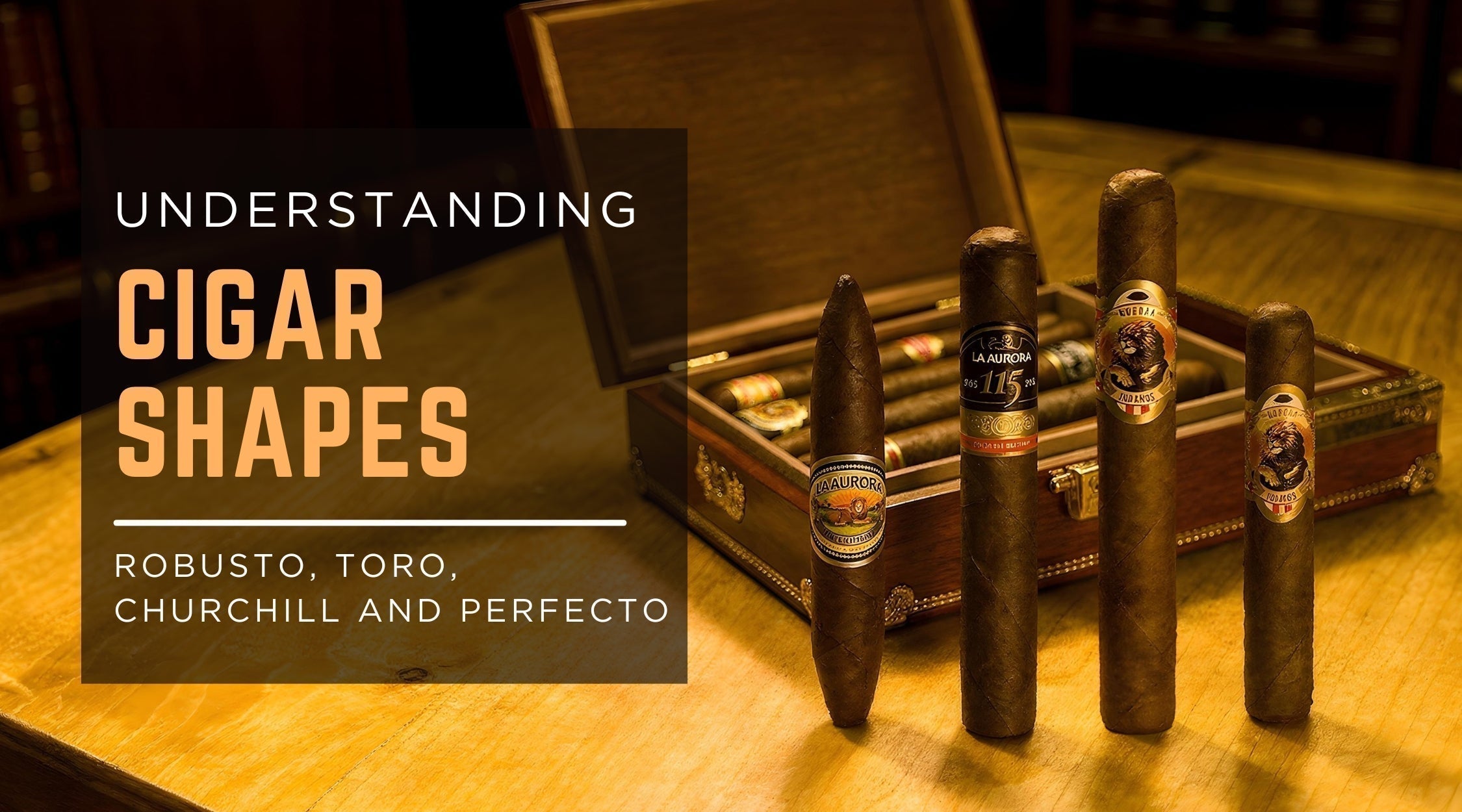 Cigar Shapes Guide: Robusto, Toro, Churchill & Perfecto