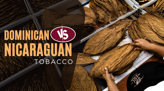 Dominican vs Nicaraguan Tobacco