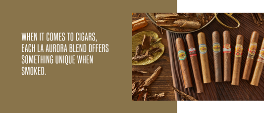 How to Identify Perfect Cigar Tasting Notes