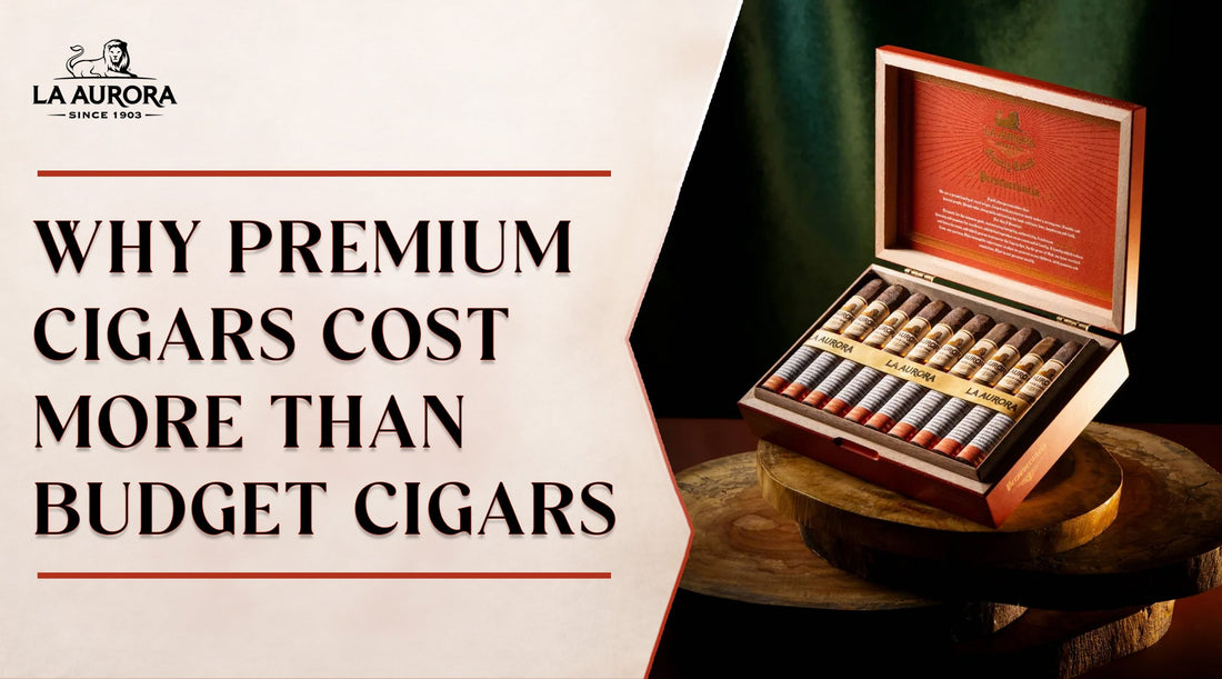 why-premium-cigars-cost-more-than-budget-cigars