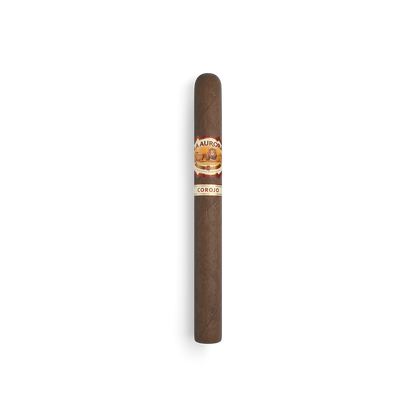 La Aurora Corojo 1962 cigar front view