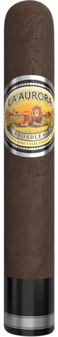 Robusto
